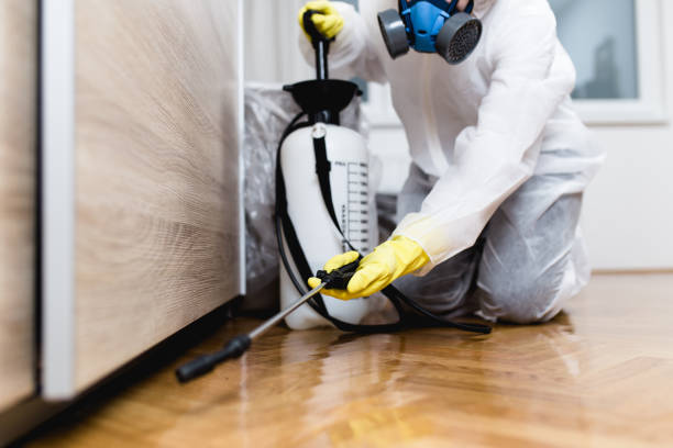 Best Pest Prevention Services  in Biddeford, ME