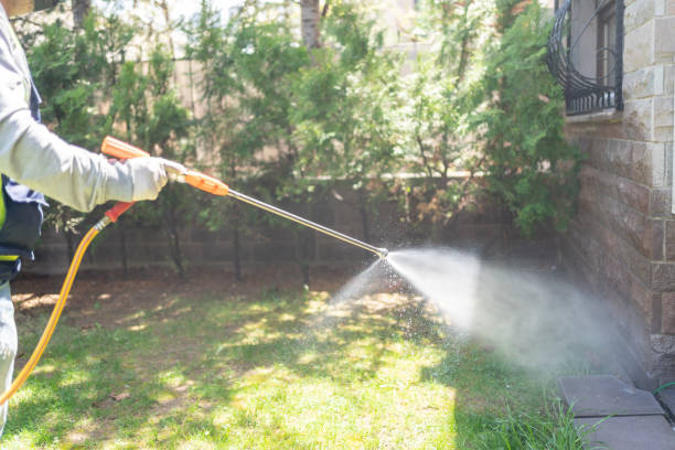 Best Best Pest Control Companies  in Biddeford, ME